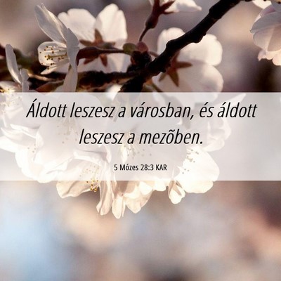 Picture 06 - 5 Mózes 28:3 KAR - Áldott leszesz a városban, és áldott leszesz - Bible Verse Picture