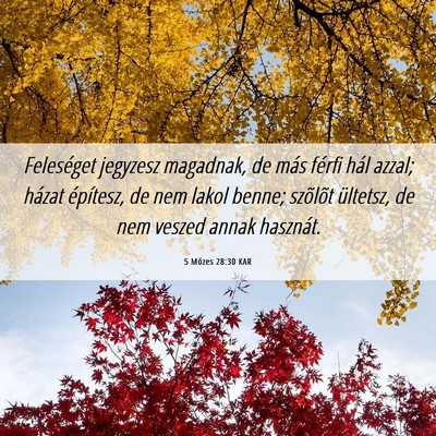 Picture 06 - 5 Mózes 28:30 KAR - Feleséget jegyzesz magadnak, de más férfi hál - Bible Verse Picture