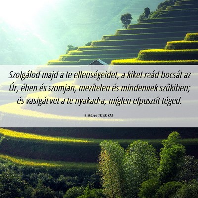 Picture 06 - 5 Mózes 28:48 KAR - Szolgálod majd a te ellenségeidet, a kiket - Bible Verse Picture