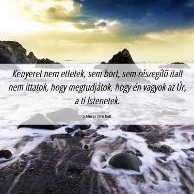 Picture 06 - 5 Mózes 29:6 KAR - Kenyeret nem ettetek, sem bort, sem részegítõ - Bible Verse Picture