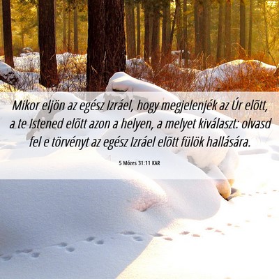 Picture 06 - 5 Mózes 31:11 KAR - Mikor eljön az egész Izráel, hogy megjelenjék - Bible Verse Picture