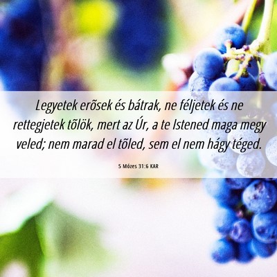 Picture 06 - 5 Mózes 31:6 KAR - Legyetek erõsek és bátrak, ne féljetek és ne - Bible Verse Picture