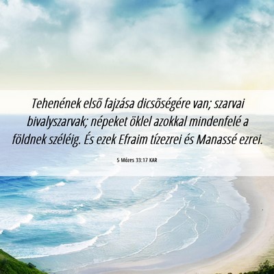 Picture 06 - 5 Mózes 33:17 KAR - Tehenének elsõ fajzása dicsõségére van; - Bible Verse Picture