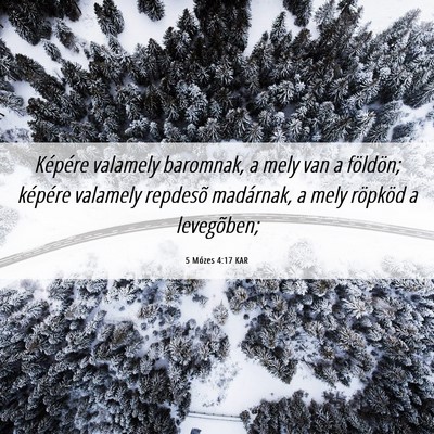 Picture 06 - 5 Mózes 4:17 KAR - Képére valamely baromnak, a mely van a - Bible Verse Picture