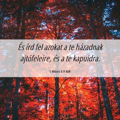 Picture 06 - 5 Mózes 6:9 KAR - És írd fel azokat a te házadnak ajtófeleire, - Bible Verse Picture