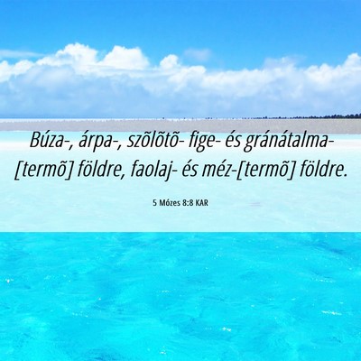 Picture 06 - 5 Mózes 8:8 KAR - Búza-, árpa-, szõlõtõ- fige- és - Bible Verse Picture