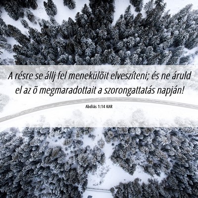 Picture 06 - Abdiás 1:14 KAR - A résre se állj fel menekülõit elveszíteni; - Bible Verse Picture