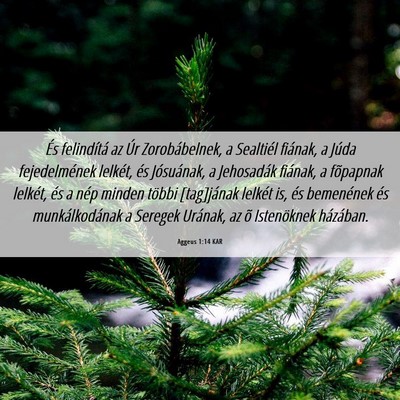 Picture 06 - Aggeus 1:14 KAR - És felindítá az Úr Zorobábelnek, a Sealtiél - Bible Verse Picture