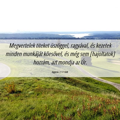 Picture 06 - Aggeus 2:17 KAR - Megvertelek titeket üszöggel, ragyával, és - Bible Verse Picture