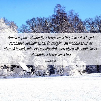 Picture 06 - Aggeus 2:23 KAR - Azon a napon, azt mondja a Seregeknek Ura, - Bible Verse Picture