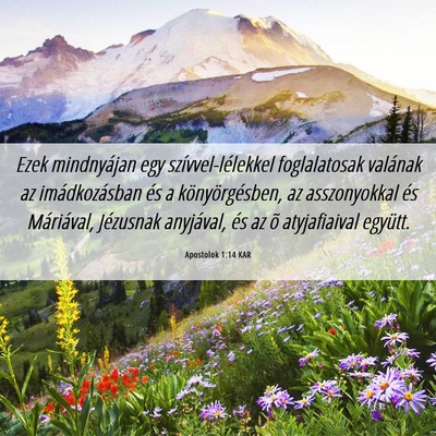 Picture 06 - Apostolok 1:14 KAR - Ezek mindnyájan egy szívvel-lélekkel - Bible Verse Picture
