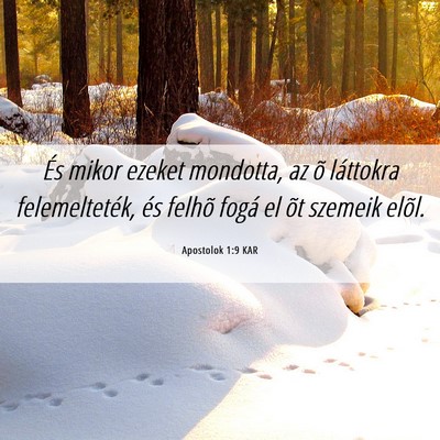 Picture 06 - Apostolok 1:9 KAR - És mikor ezeket mondotta, az õ láttokra - Bible Verse Picture