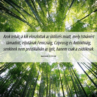 Picture 06 - Apostolok 11:19 KAR - Azok tehát, a kik eloszlottak az üldözés - Bible Verse Picture