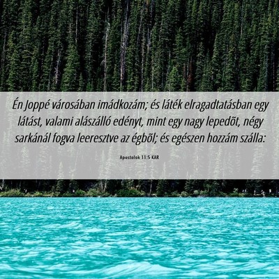 Picture 06 - Apostolok 11:5 KAR - Én Joppé városában imádkozám; és láték - Bible Verse Picture