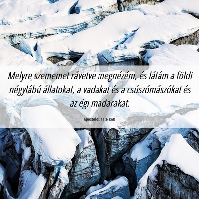 Picture 06 - Apostolok 11:6 KAR - Melyre szememet rávetve megnézém, és látám - Bible Verse Picture