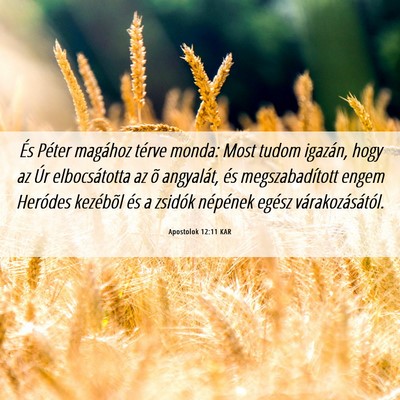 Picture 06 - Apostolok 12:11 KAR - És Péter magához térve monda: Most tudom - Bible Verse Picture