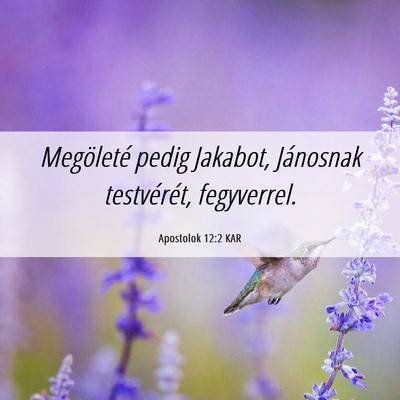 Picture 06 - Apostolok 12:2 KAR - Megöleté pedig Jakabot, Jánosnak testvérét, - Bible Verse Picture