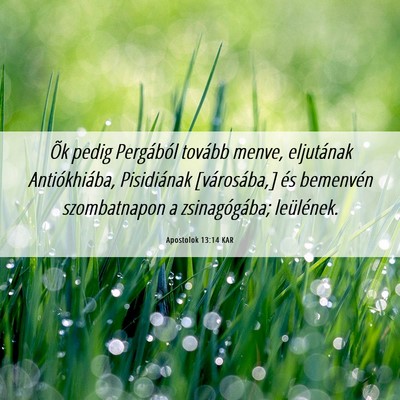 Picture 06 - Apostolok 13:14 KAR - Õk pedig Pergából tovább menve, eljutának - Bible Verse Picture