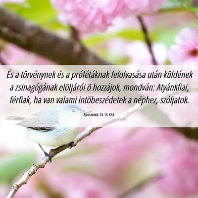 Picture 06 - Apostolok 13:15 KAR - És a törvénynek és a prófétáknak - Bible Verse Picture