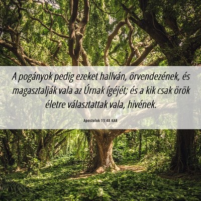 Picture 06 - Apostolok 13:48 KAR - A pogányok pedig ezeket hallván, - Bible Verse Picture