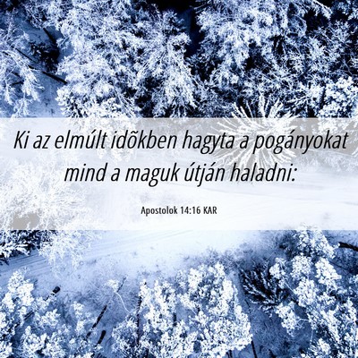 Picture 06 - Apostolok 14:16 KAR - Ki az elmúlt idõkben hagyta a pogányokat mind - Bible Verse Picture