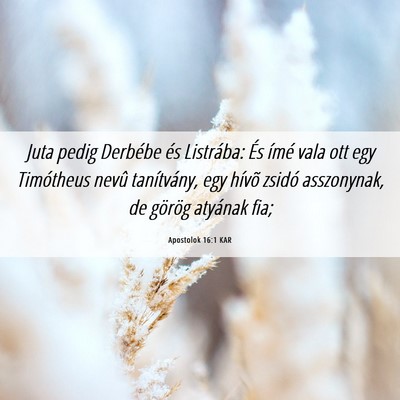 Picture 06 - Apostolok 16:1 KAR - Juta pedig Derbébe és Listrába: És ímé vala - Bible Verse Picture