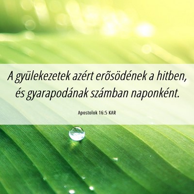 Picture 06 - Apostolok 16:5 KAR - A gyülekezetek azért erõsödének a hitben, - Bible Verse Picture