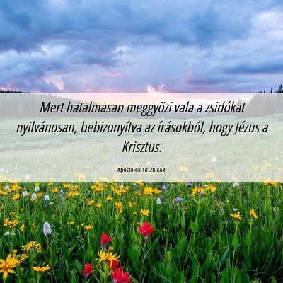 Picture 06 - Apostolok 18:28 KAR - Mert hatalmasan meggyõzi vala a zsidókat - Bible Verse Picture