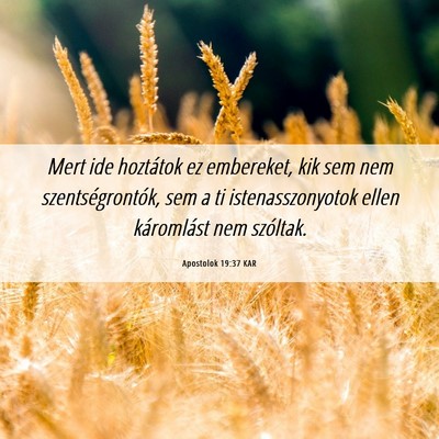 Picture 06 - Apostolok 19:37 KAR - Mert ide hoztátok ez embereket, kik sem nem - Bible Verse Picture