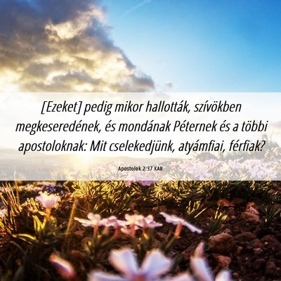 Picture 06 - Apostolok 2:37 KAR - [Ezeket] pedig mikor hallották, szívökben - Bible Verse Picture