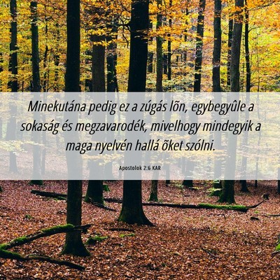 Picture 06 - Apostolok 2:6 KAR - Minekutána pedig ez a zúgás lõn, egybegyûle - Bible Verse Picture