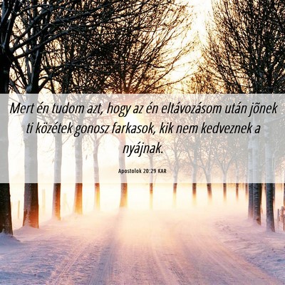 Picture 06 - Apostolok 20:29 KAR - Mert én tudom azt, hogy az én eltávozásom - Bible Verse Picture