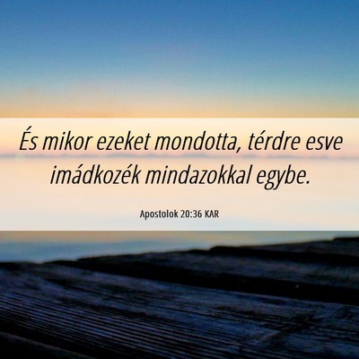 Picture 06 - Apostolok 20:36 KAR - És mikor ezeket mondotta, térdre esve - Bible Verse Picture