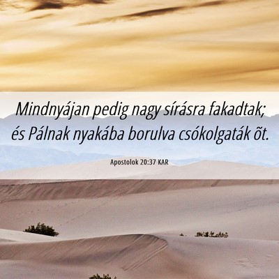 Picture 06 - Apostolok 20:37 KAR - Mindnyájan pedig nagy sírásra fakadtak; és - Bible Verse Picture