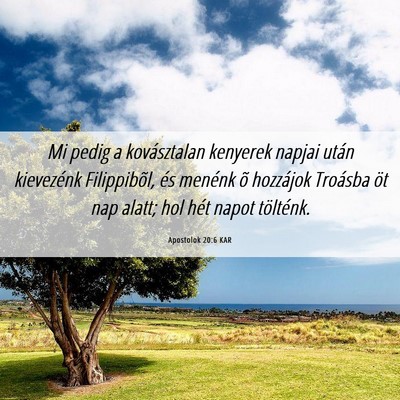 Picture 06 - Apostolok 20:6 KAR - Mi pedig a kovásztalan kenyerek napjai után - Bible Verse Picture