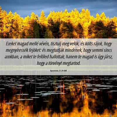 Picture 06 - Apostolok 21:24 KAR - Ezeket magad mellé vévén, tisztulj meg velök, - Bible Verse Picture