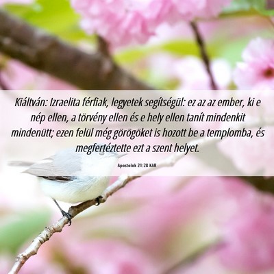 Picture 06 - Apostolok 21:28 KAR - Kiáltván: Izraelita férfiak, legyetek - Bible Verse Picture