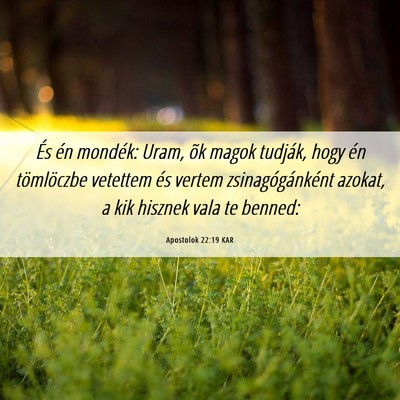 Picture 06 - Apostolok 22:19 KAR - És én mondék: Uram, õk magok tudják, hogy - Bible Verse Picture