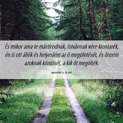 Picture 06 - Apostolok 22:20 KAR - És mikor ama te mártírodnak, Istvánnak vére - Bible Verse Picture