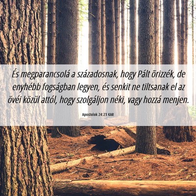 Picture 06 - Apostolok 24:23 KAR - És megparancsolá a századosnak, hogy Pált - Bible Verse Picture