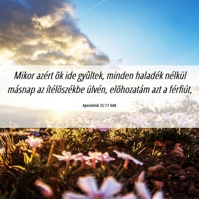 Picture 06 - Apostolok 25:17 KAR - Mikor azért õk ide gyûltek, minden haladék - Bible Verse Picture