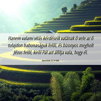 Picture 06 - Apostolok 25:19 KAR - Hanem valami vitás kérdéseik valának õ vele - Bible Verse Picture