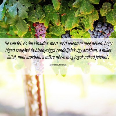 Picture 06 - Apostolok 26:16 KAR - De kelj fel, és állj lábaidra: mert azért - Bible Verse Picture