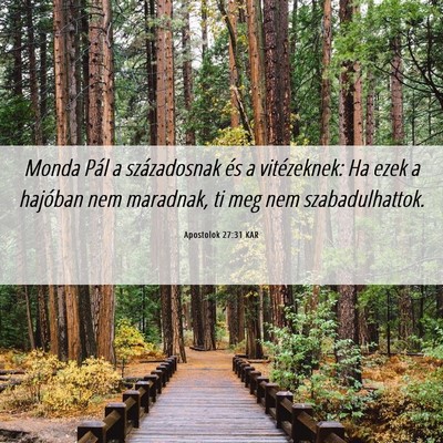 Picture 06 - Apostolok 27:31 KAR - Monda Pál a századosnak és a vitézeknek: Ha - Bible Verse Picture