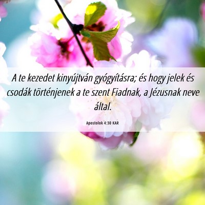 Picture 06 - Apostolok 4:30 KAR - A te kezedet kinyújtván gyógyításra; és - Bible Verse Picture