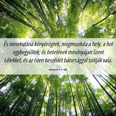 Picture 06 - Apostolok 4:31 KAR - És minekutána könyörögtek, megmozdula a - Bible Verse Picture