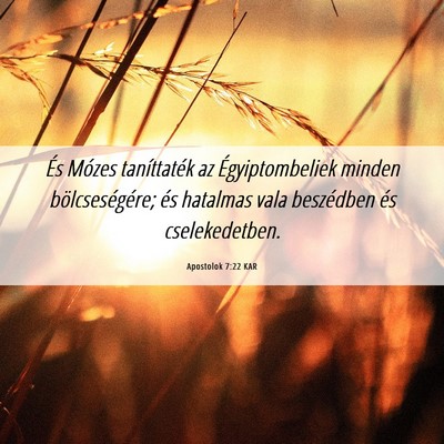 Picture 06 - Apostolok 7:22 KAR - És Mózes taníttaték az Égyiptombeliek minden - Bible Verse Picture