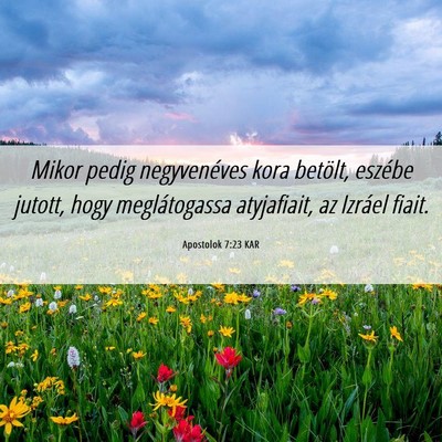Picture 06 - Apostolok 7:23 KAR - Mikor pedig negyvenéves kora betölt, eszébe - Bible Verse Picture