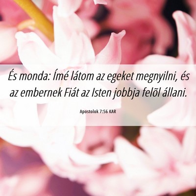 Picture 06 - Apostolok 7:56 KAR - És monda: Ímé látom az egeket megnyilni, és - Bible Verse Picture