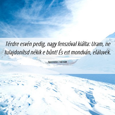 Picture 06 - Apostolok 7:60 KAR - Térdre esvén pedig, nagy fenszóval kiálta: - Bible Verse Picture